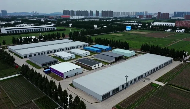 业务优化路径的演进与方案设计的现实挑战